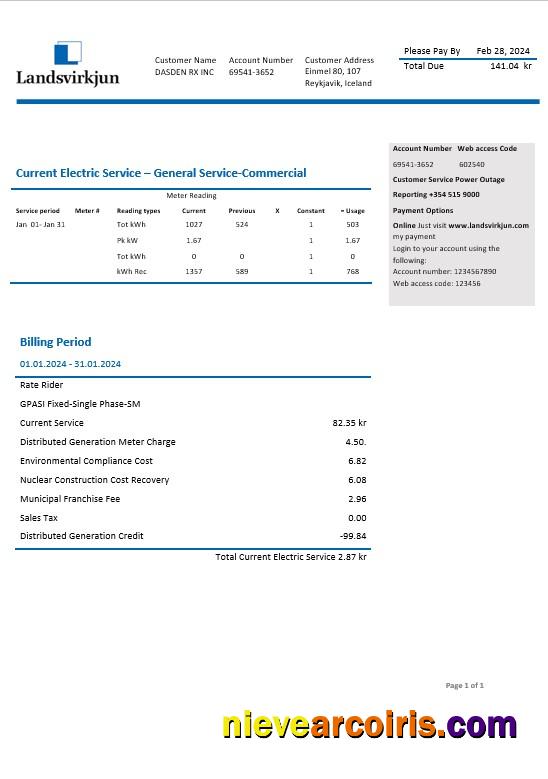 Iceland National Power Company of Iceland Landsvirkjun electricity business utility bill